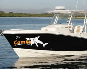 Camila or Camil@ entry by jonny2quest