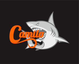 Camila or Camil@ entry by Sammy