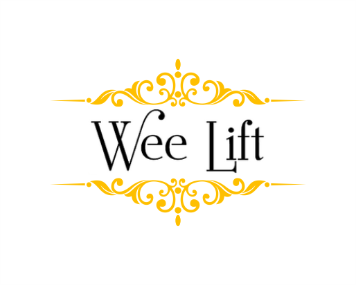 Logo Design for weelift.com
