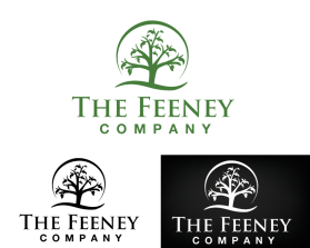 The Feeney Company entry by alex.projector