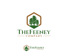 The Feeney Company entry by sambelpete