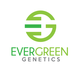 Evergreen Genetics entry by logoAA
