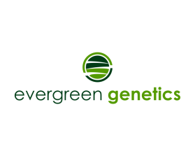 Evergreen Genetics entry by tato