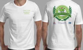 Limb Life Foundation entry by tornado
