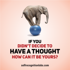 Self Recognition Labs - www.selfrecognitionlabs.com entry by lurth