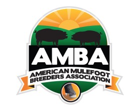 American Mulefoot Breeders Association (AMBA) - www.AmericanMulefoot.com entry by quimcey