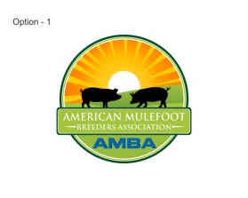 American Mulefoot Breeders Association (AMBA) - www.AmericanMulefoot.com entry by Creativebee