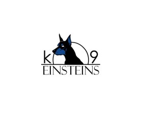 K9 Einsteins entry by boycoll