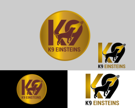 K9 Einsteins entry by marsell