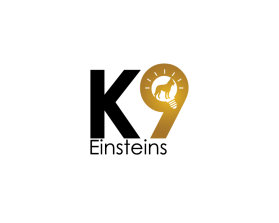 K9 Einsteins entry by erongs16