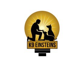 K9 Einsteins entry by logogenering