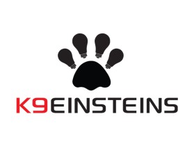 K9 Einsteins entry by quimcey