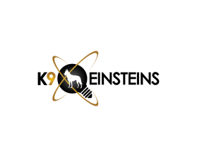 K9 Einsteins entry by erongs16