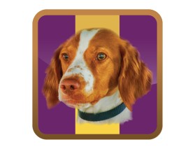 David Webb consulting entry by quimcey