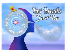 Just Breathe Just Be is company name; draft site is www.rrobotti.wix.com/jbjb entry by D A P