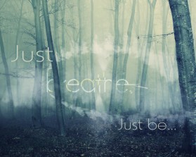 Just Breathe Just Be is company name; draft site is www.rrobotti.wix.com/jbjb entry by colornative