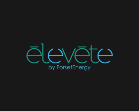 Ä“levÄ“te entry by paczgraphics
