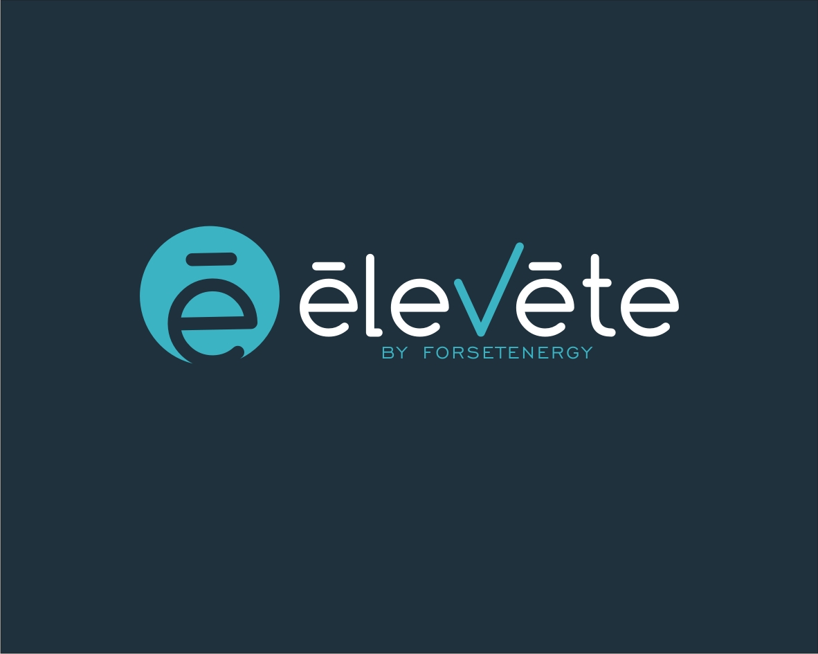 Logo Design for Ä“levÄ“te