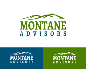 Montane Advisors entry by gazzle