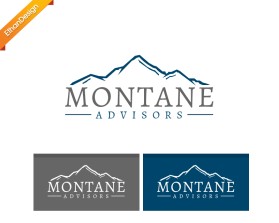 Montane Advisors entry by Ethan