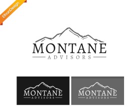 Montane Advisors entry by Ethan
