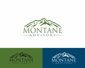 Montane Advisors entry by Avraa