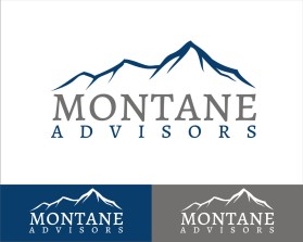 Montane Advisors entry by kembarloro