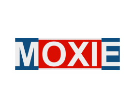 Logo Design entry 1194171 submitted by gazzle