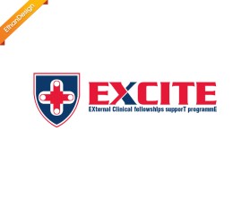 EXCITE: EXternal Clinical fellowshIps supporT programmE entry by Ethan