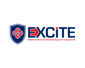 EXCITE: EXternal Clinical fellowshIps supporT programmE entry by gazzle