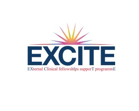 EXCITE: EXternal Clinical fellowshIps supporT programmE entry by quimcey