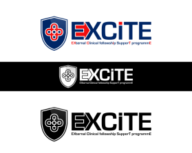 EXCITE: EXternal Clinical fellowshIps supporT programmE entry by gazzle