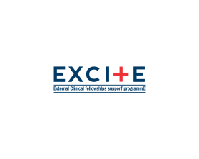 EXCITE: EXternal Clinical fellowshIps supporT programmE entry by Sam_idea