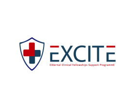 EXCITE: EXternal Clinical fellowshIps supporT programmE entry by Yirel