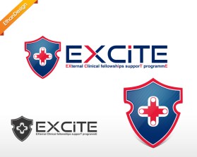 EXCITE: EXternal Clinical fellowshIps supporT programmE entry by Ethan