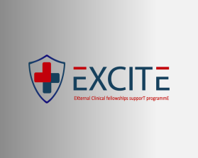 EXCITE: EXternal Clinical fellowshIps supporT programmE entry by Yirel