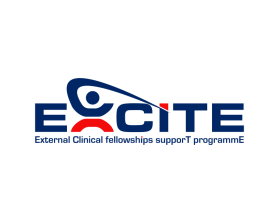 EXCITE: EXternal Clinical fellowshIps supporT programmE entry by marsell