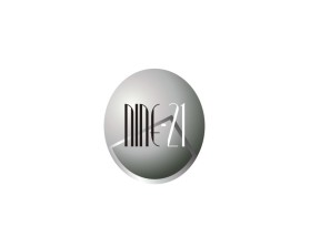 NINE-21 entry by ate84