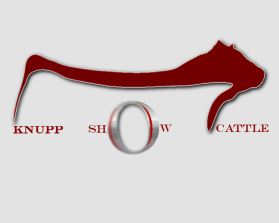 Knupp Show Cattle entry by Kevin Roddy