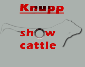 Knupp Show Cattle entry by Kevin Roddy