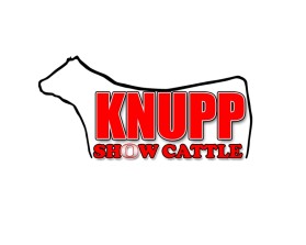Knupp Show Cattle entry by Adam