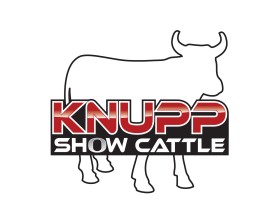 Knupp Show Cattle entry by quimcey