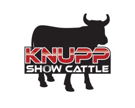 Knupp Show Cattle entry by quimcey