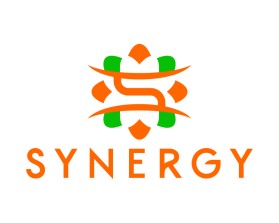 Synergy Public School entry by FriZign