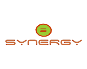 Synergy Public School entry by Aladin
