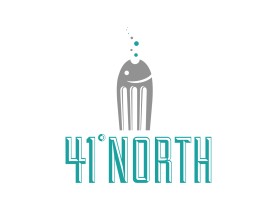 41&deg; North entry by quimcey