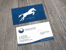 Praelium  entry by skyford412