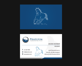 Praelium  entry by dsdezign