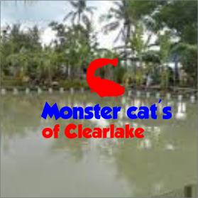 Monster Cats of Clearlake  entry by Salman
