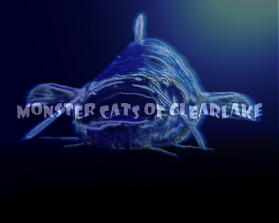 Monster Cats of Clearlake  entry by Kevin Roddy